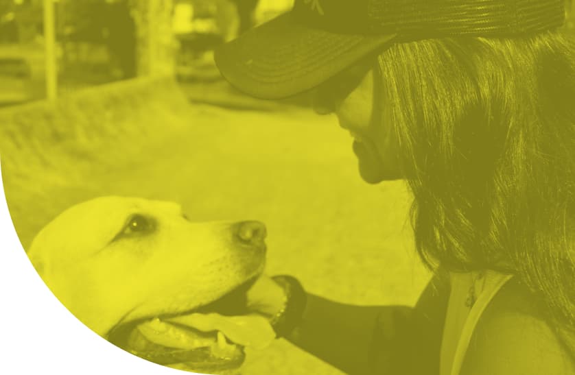 Pets Tour - O melhor amigo do seu pet