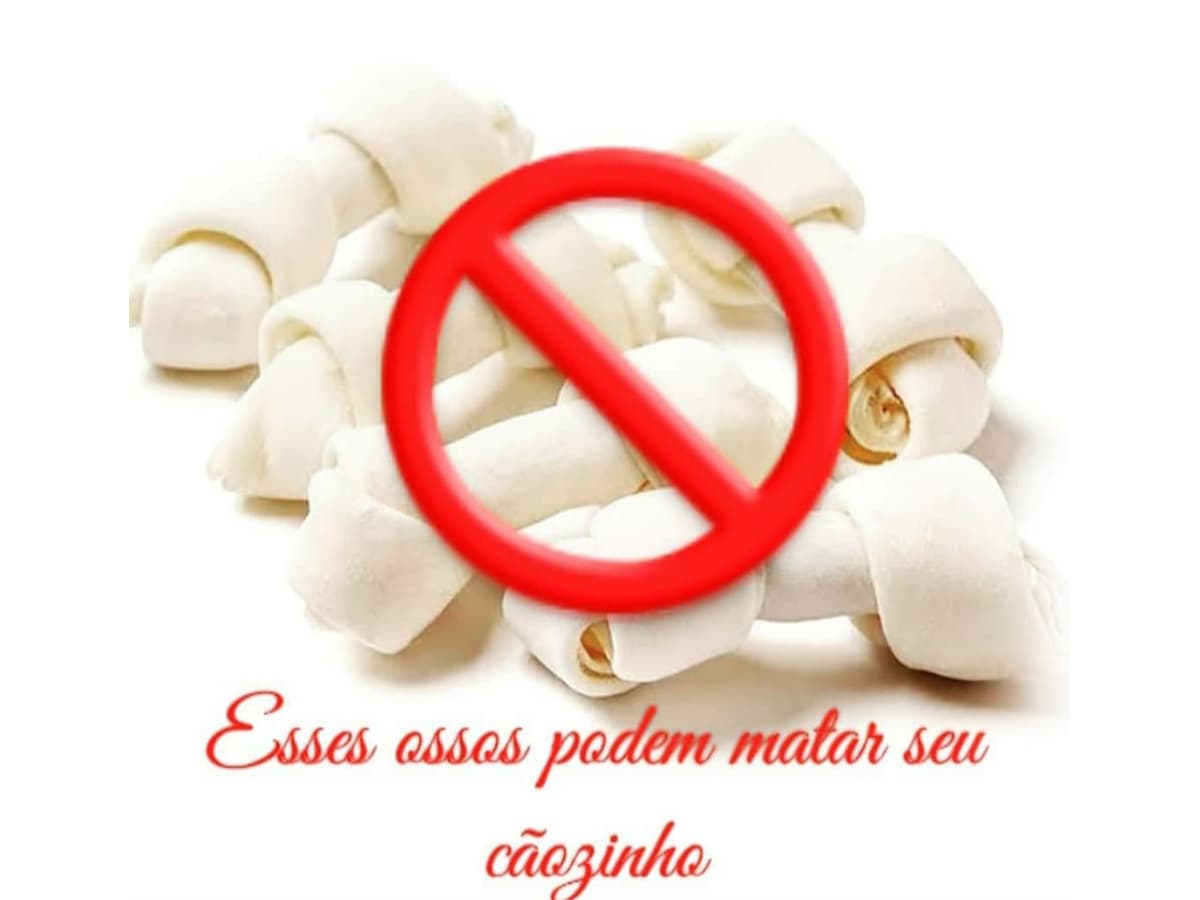 Não dê Isso ao Cão